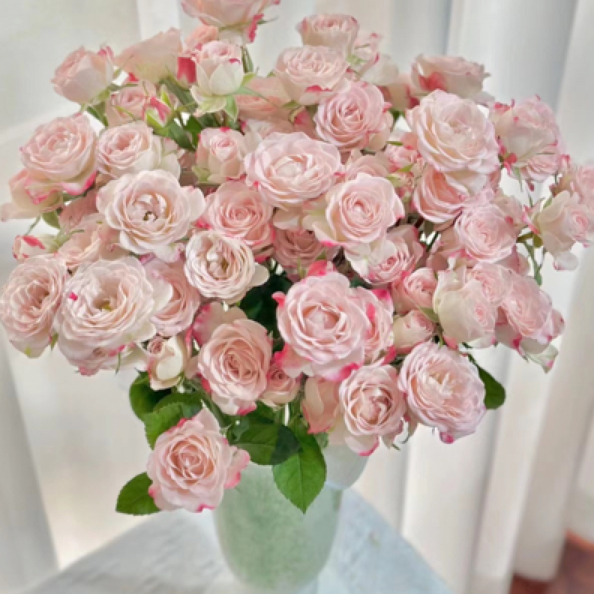 折射多头玫瑰10支（家庭瓶插花）