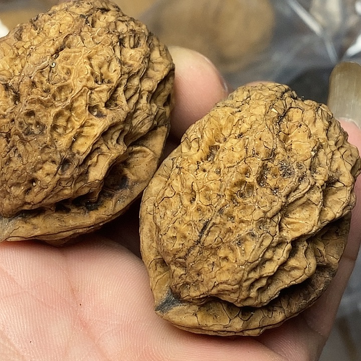 文玩核桃把件云南铁核桃54