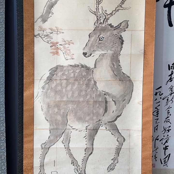 远***者横款手是生生世世生生世世