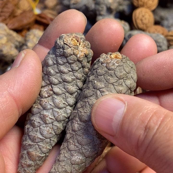 吊坠桃核东北特产32