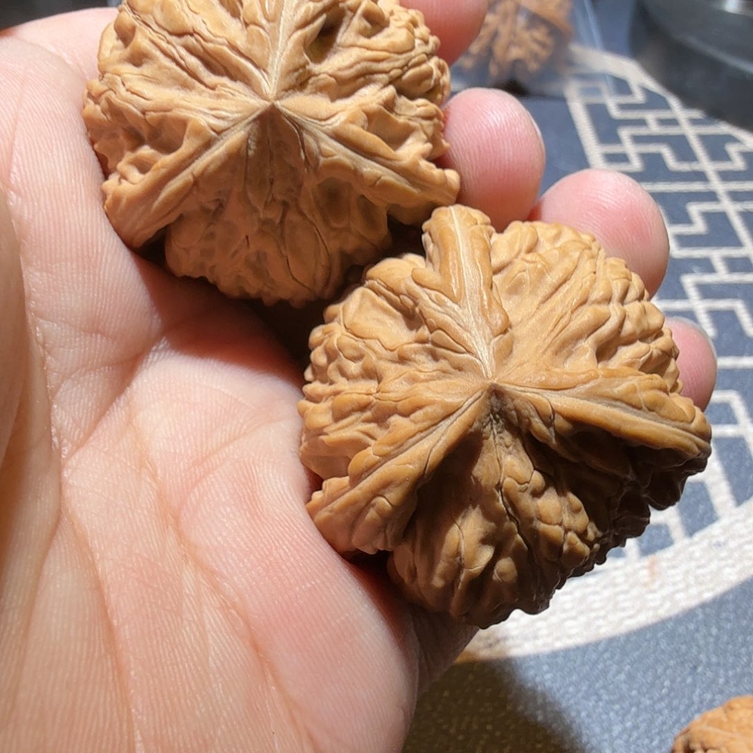 文玩核桃把件御龙·人字