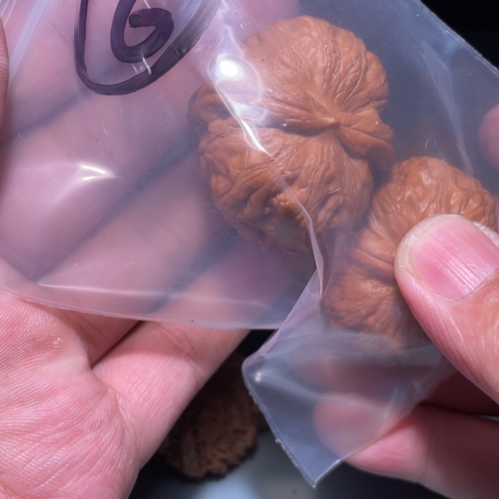文玩核桃吊坠6呃呃呃