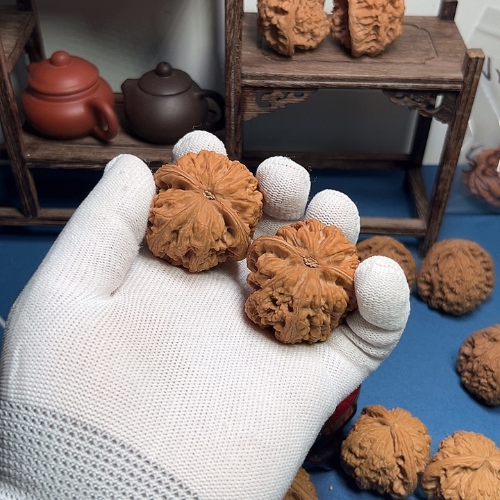 ****‍大粗筋大粗筋大粗筋