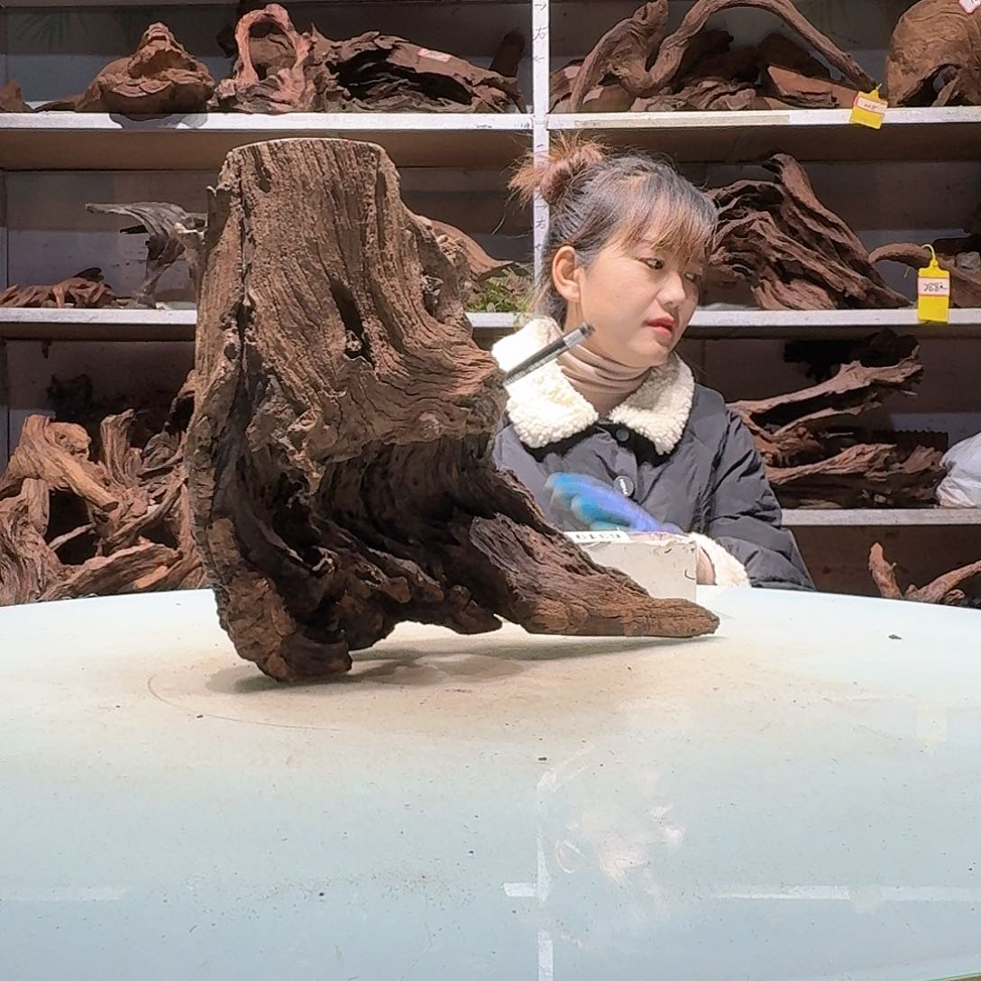 倍褚沉木不包损必褪色潇**雨6307