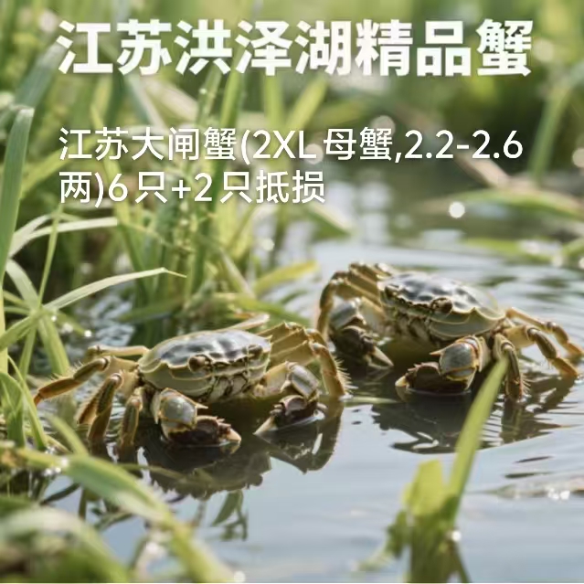 洪泽湖精品蟹(2XL母蟹,2.2-2.6两)6只+2只抵损