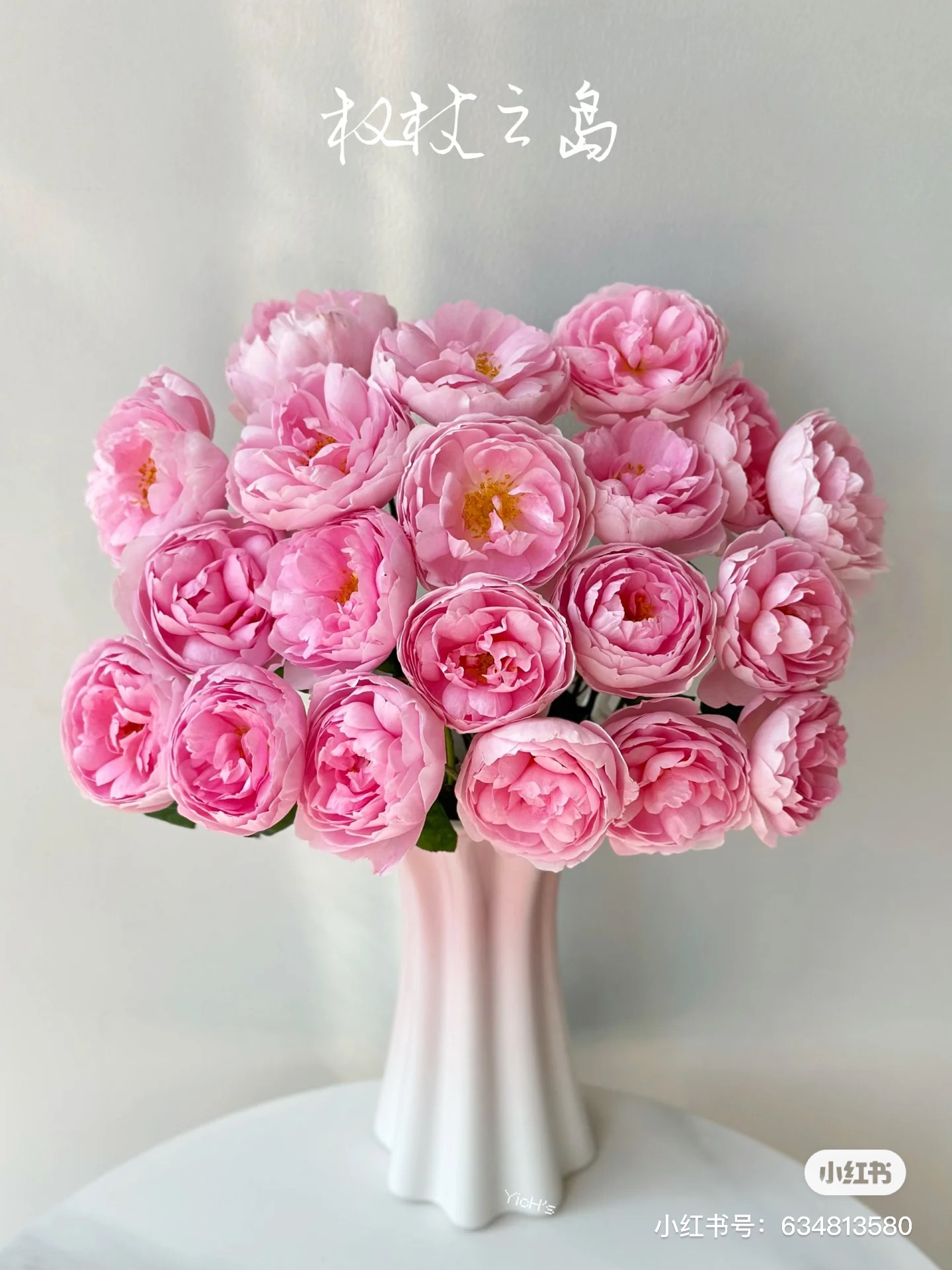 【醒目】权杖之岛 拍下三单及以上顺丰空运包邮10支装%20不售后