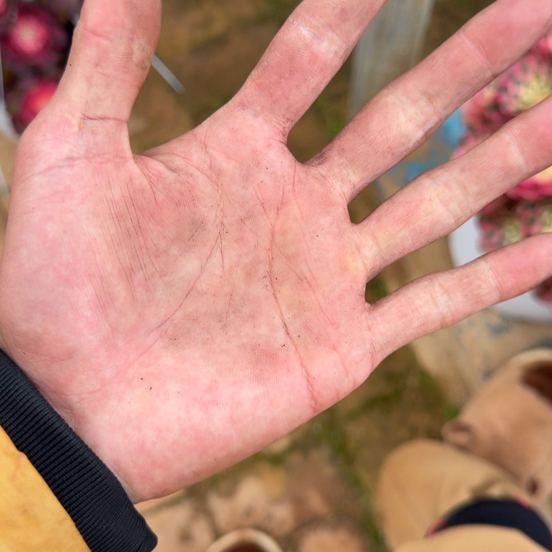 小***猫无花朵xnxnxndndndndn