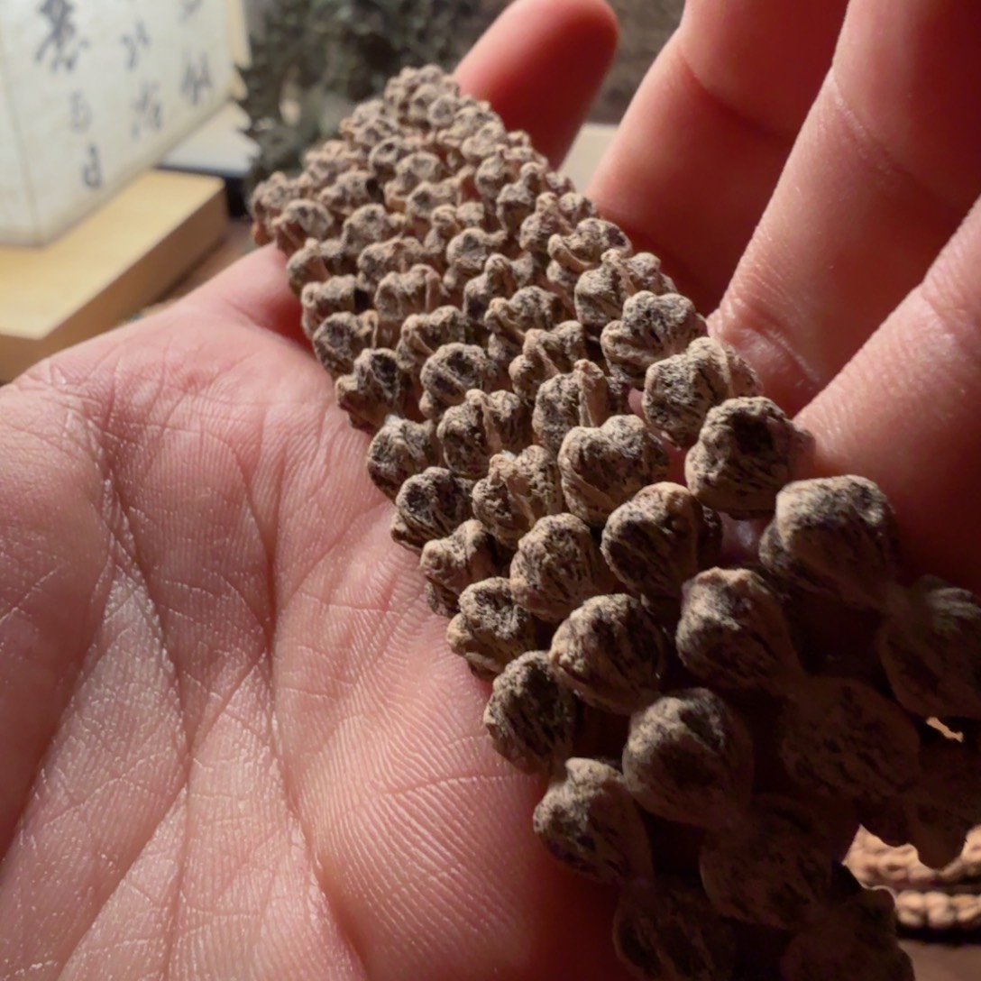 柏香籽/百香籽吊坠