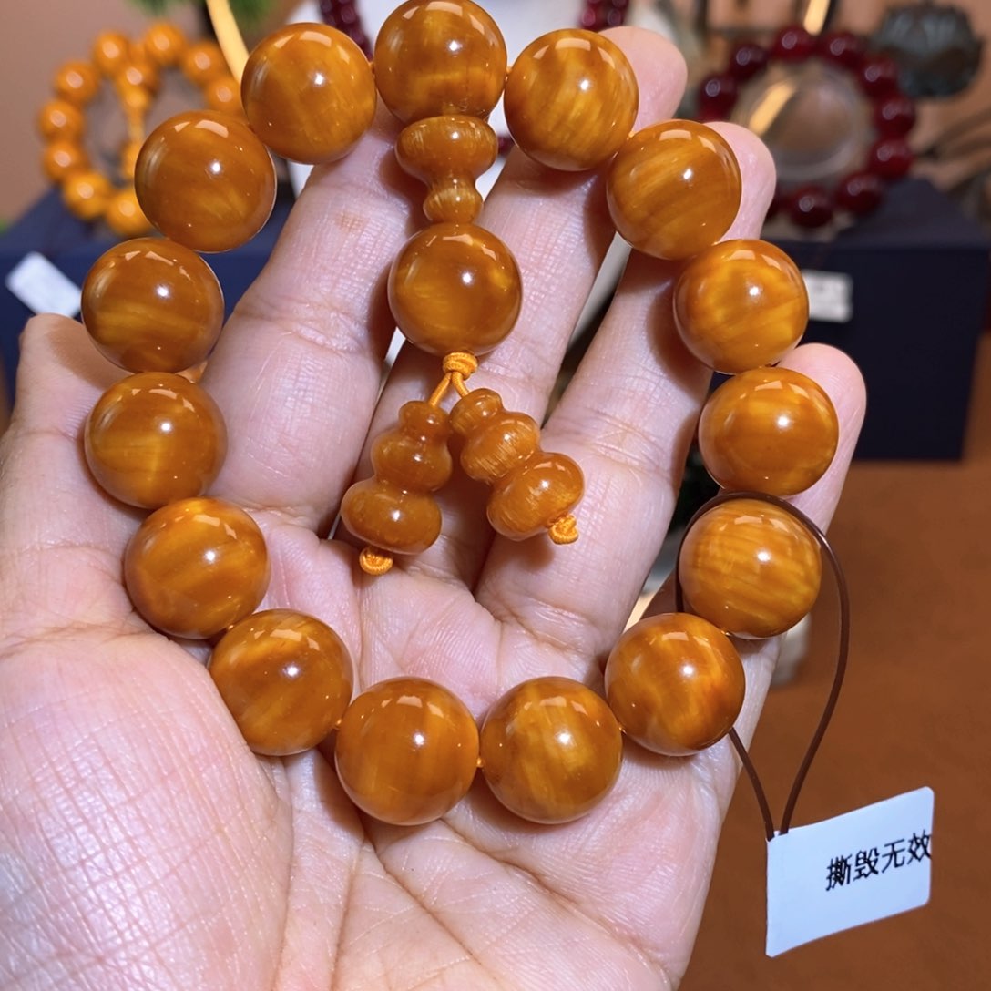 贝壳杉帝王血龙木1.5龙胆天花板