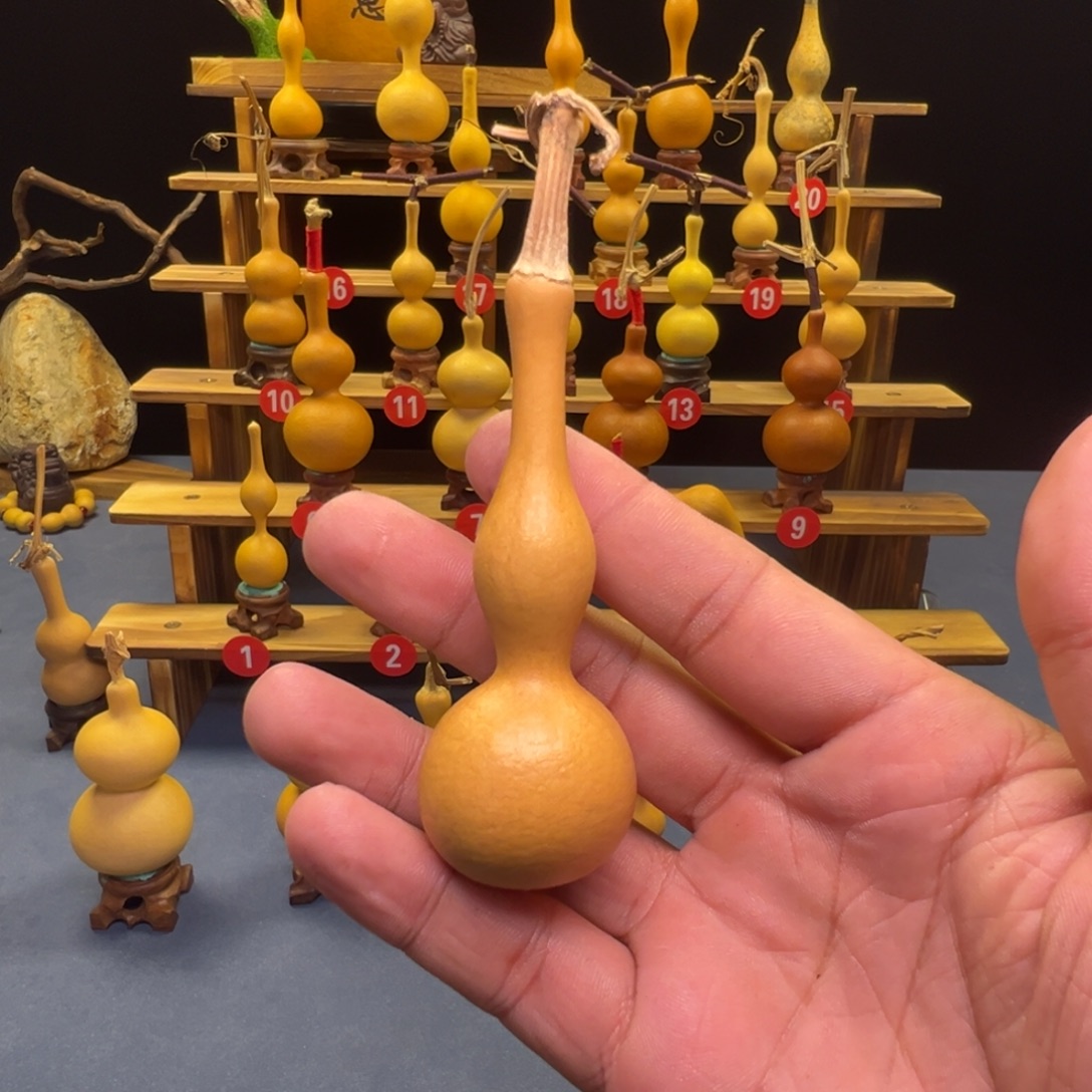 快***一葫芦等多种颜色的花鸟