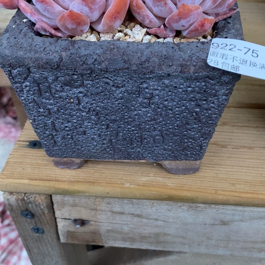 芝***糕75号多肉盆口径9高9
