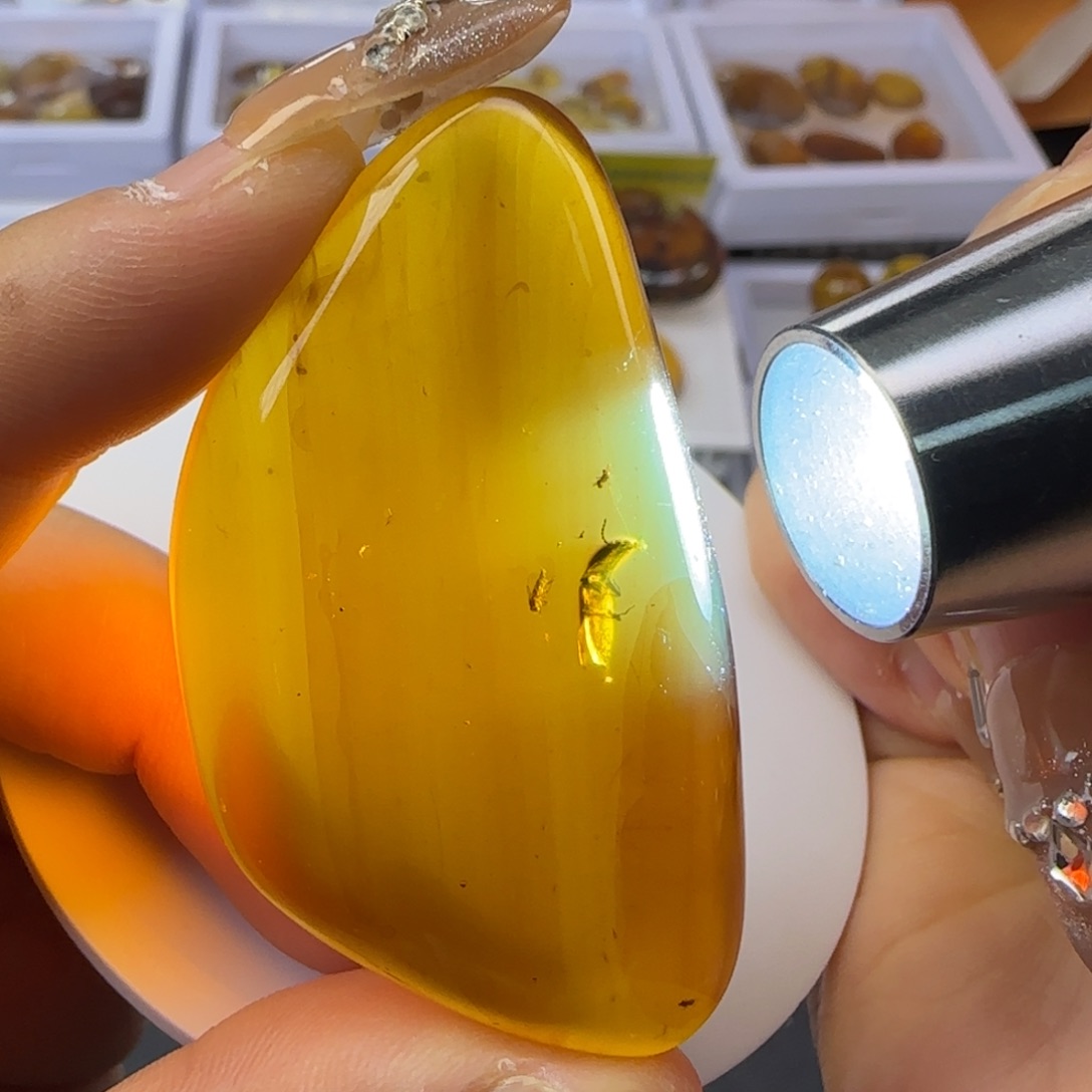 琥珀裸石未镶嵌甲虫吊坠