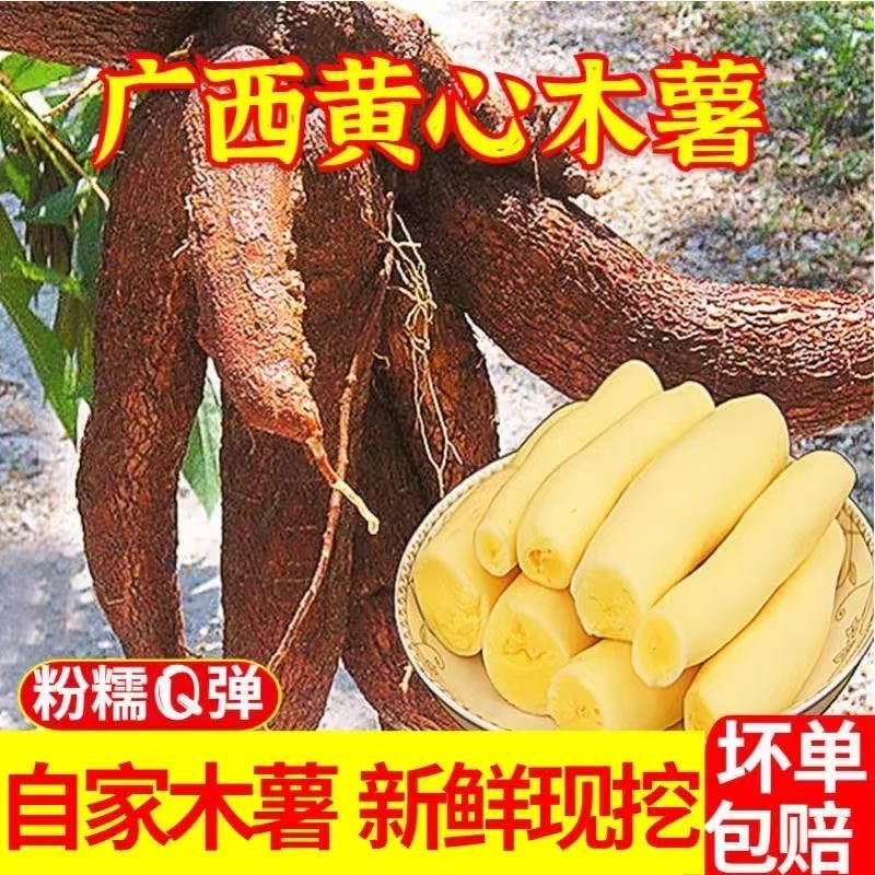 广西新鲜现挖黄心面包木薯香甜粉糯特产五谷粗粮