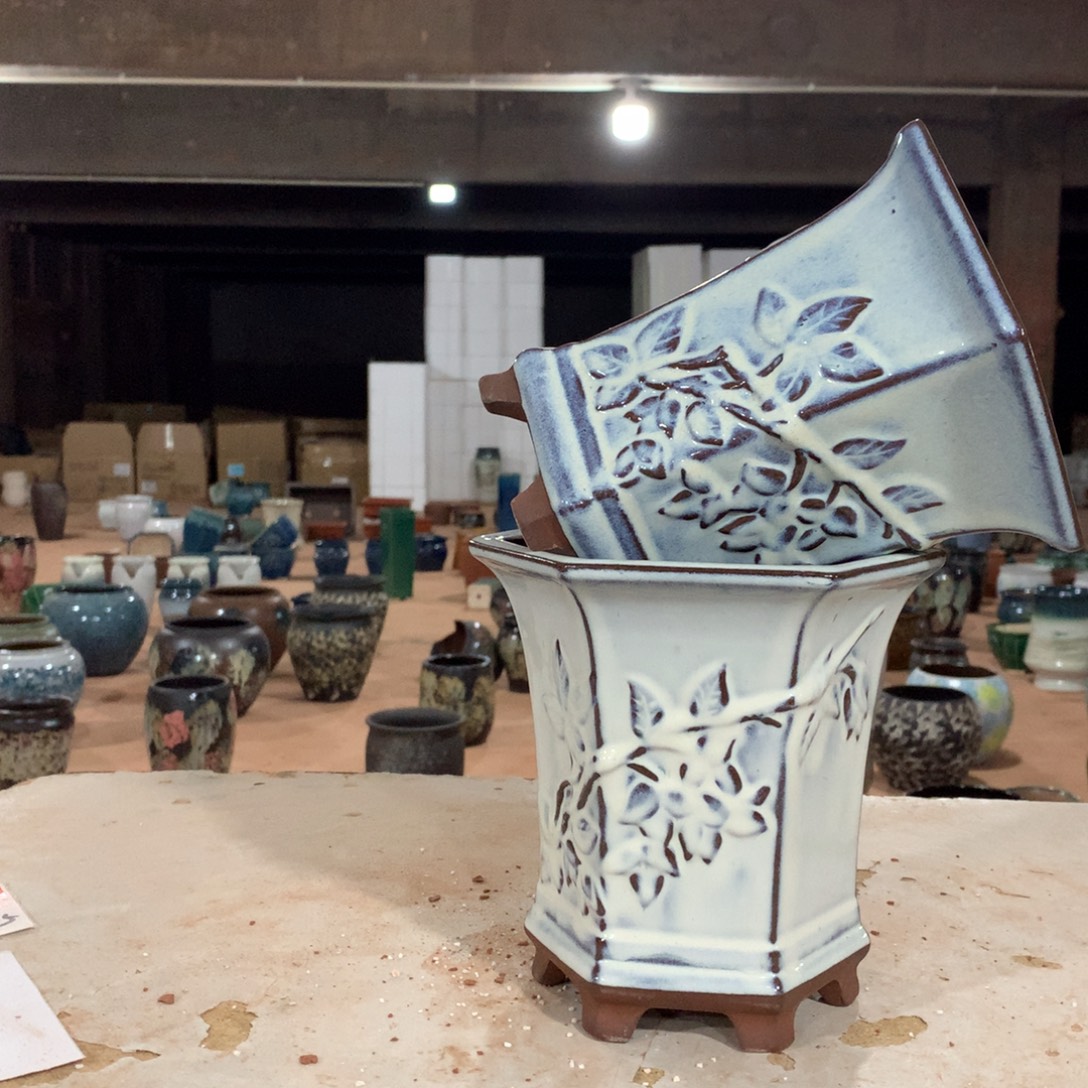 花盆里里快快乐乐啦