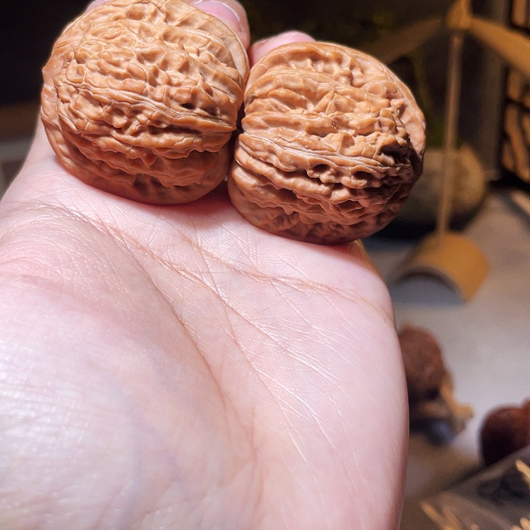 核桃手串/手链飞*38汉高楼断齿