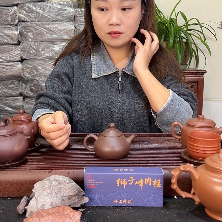 紫砂茶壶宜兴紫砂
