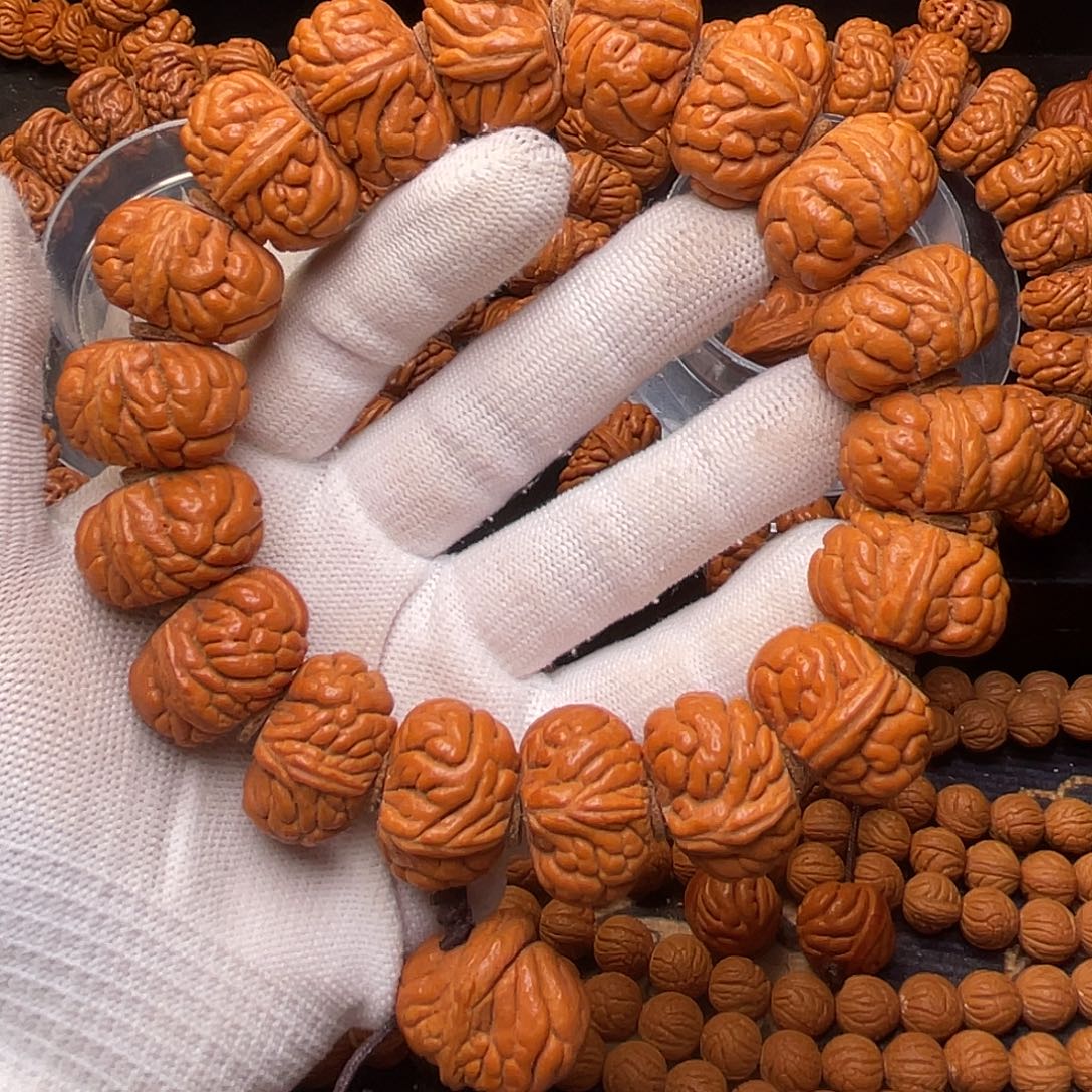 手串桃核24霸王龙，3