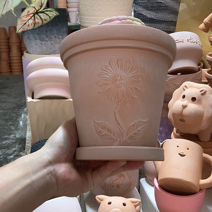16×15雾化向阳+托1个