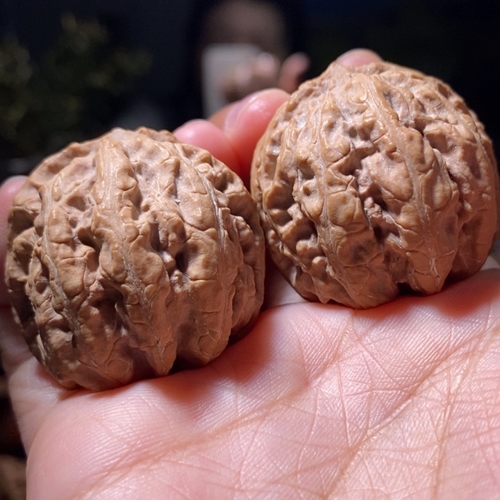 把件文玩核桃东北楸子小路 252