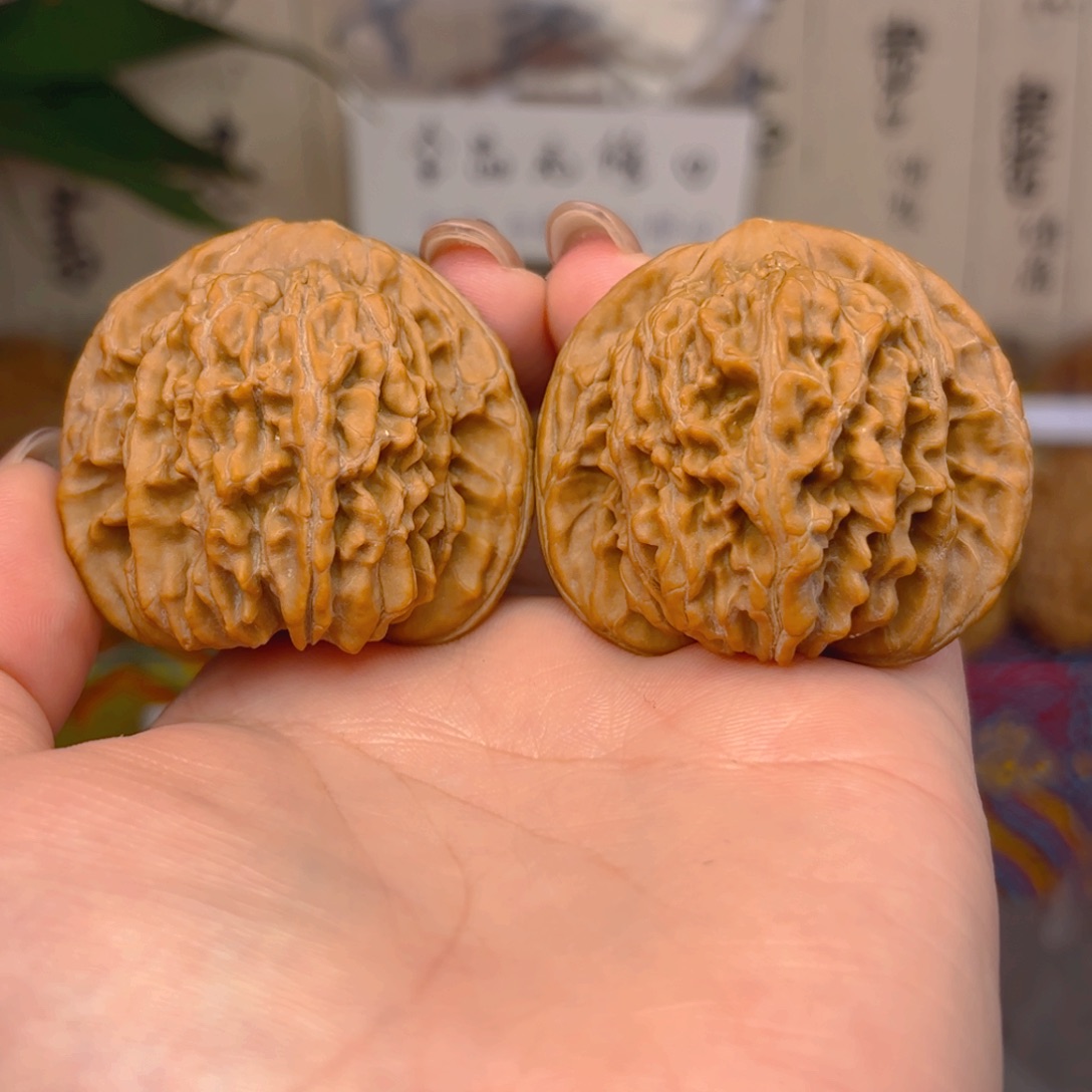 s***t四座楼狮子头四十五尺