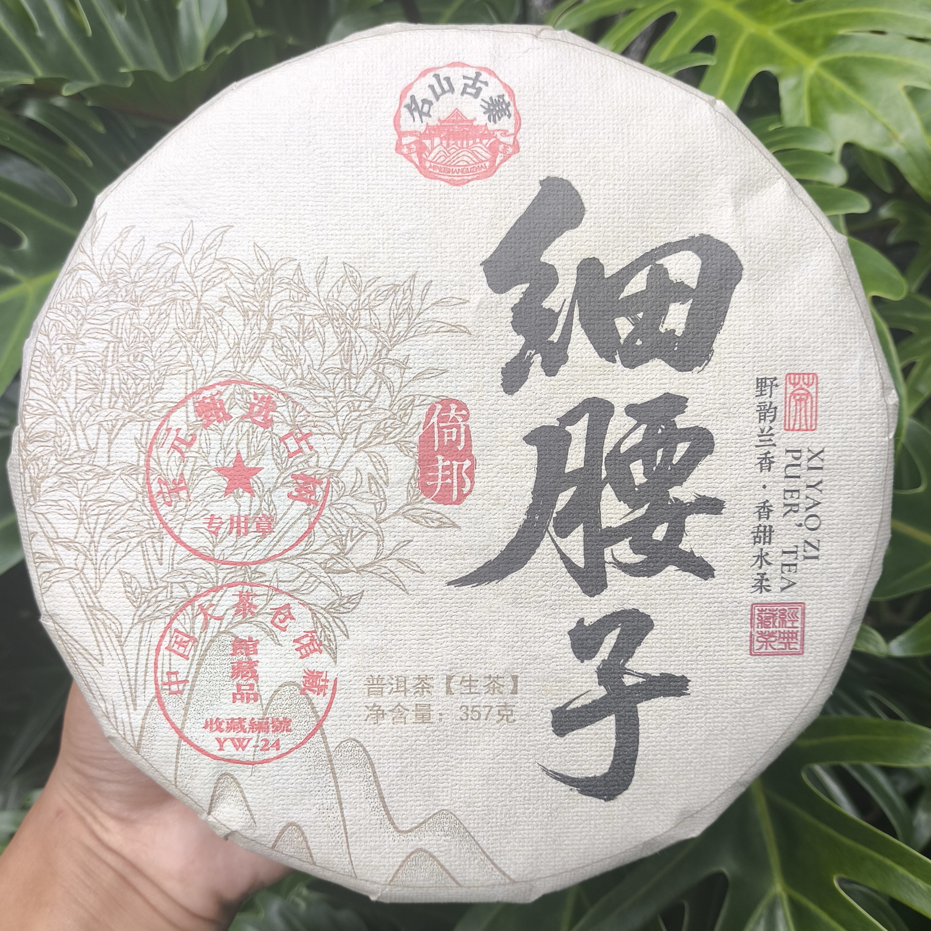2020年 倚邦 细腰子 古树生茶357g饼