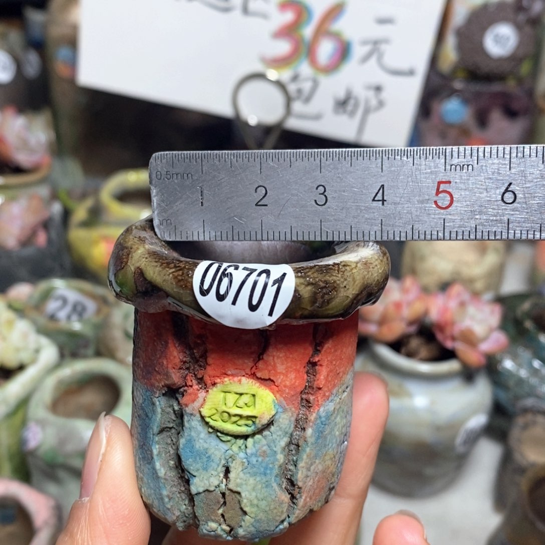 花盆拍3送一个小礼物