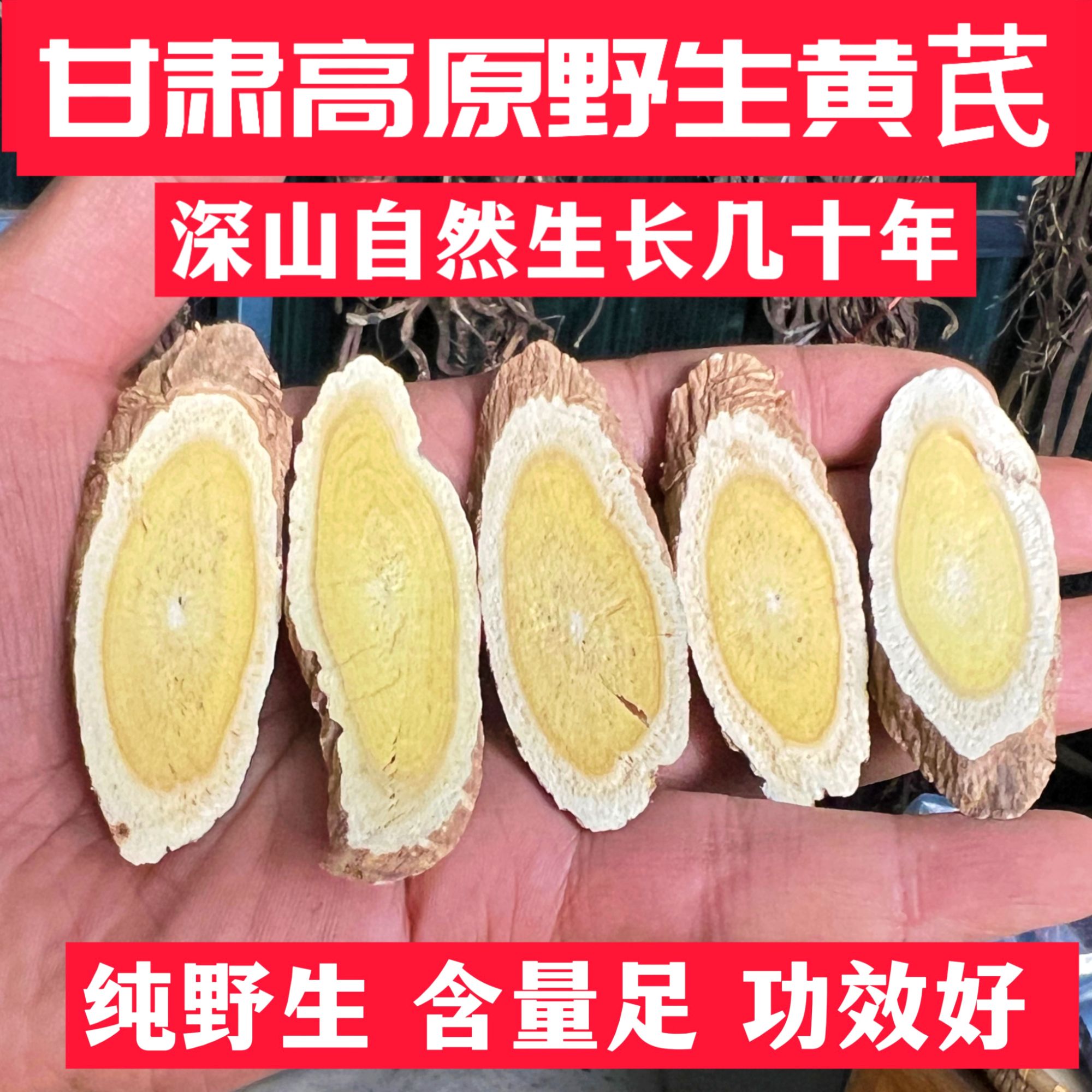 甘肃岷县野生黄芪几十年主根切片手选特大片泡水煮水煲汤
