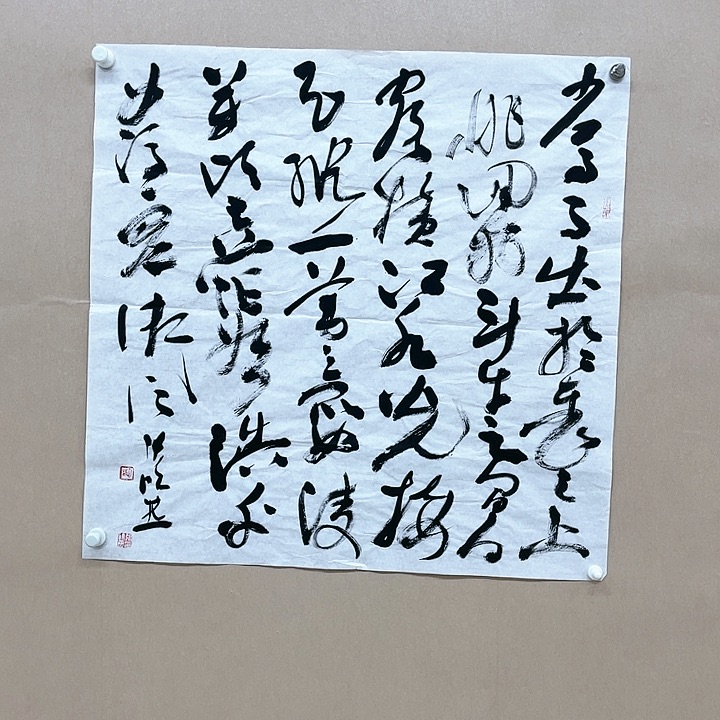 书法张晓燕68*68㎝甘肃LS