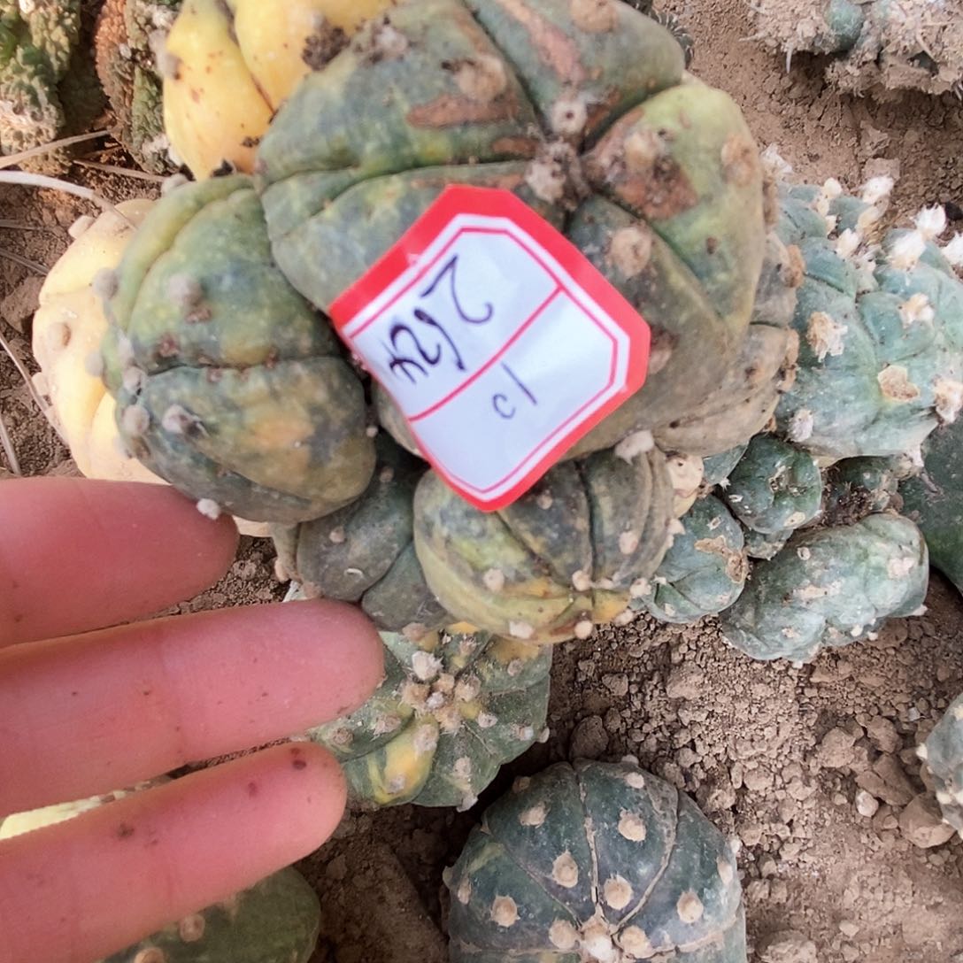 兜兜兜兜兜兜兜兜兜兜兜兜兜1