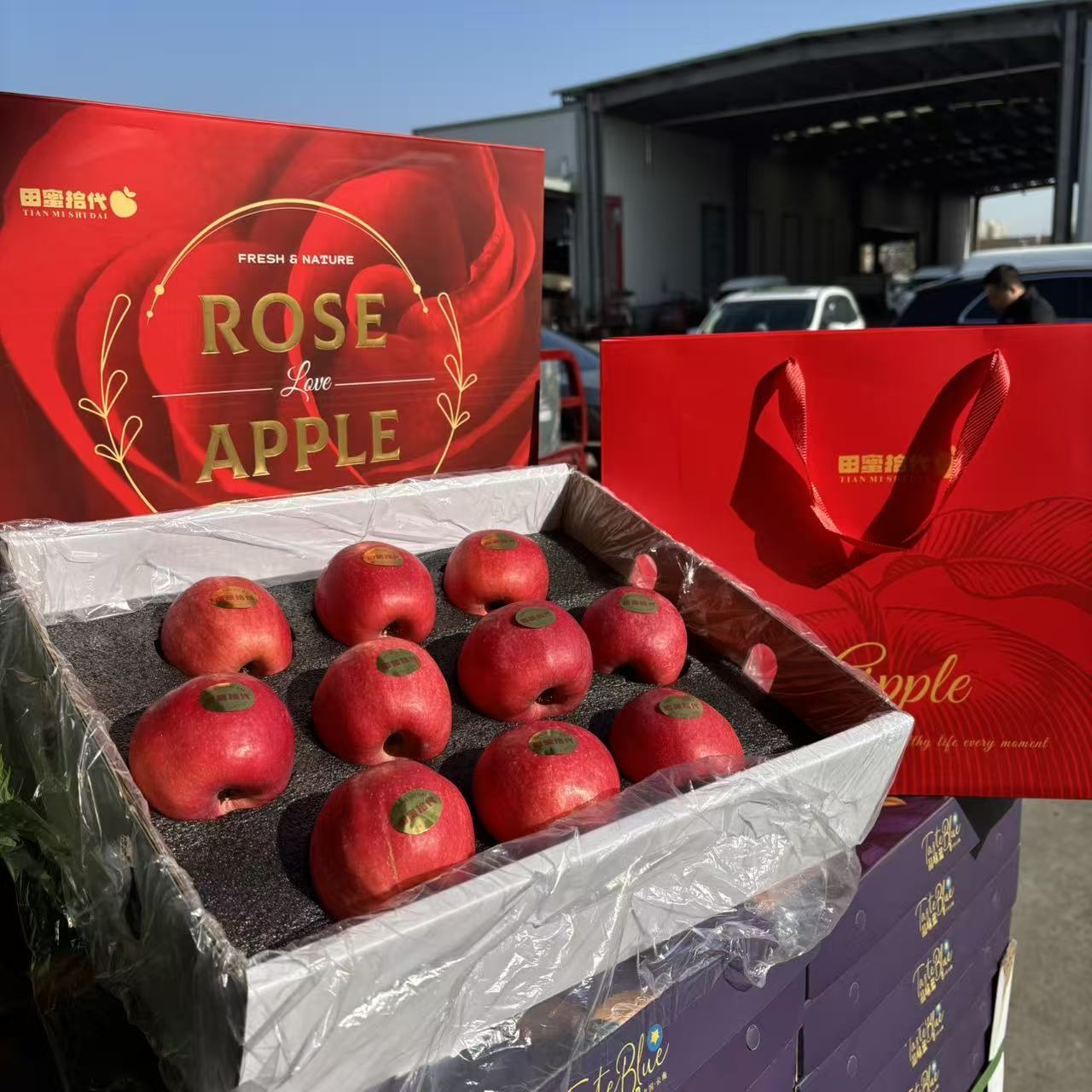 【瑞香红】瑞香红苹果 一口脆响 鲜果脆甜 风味浓郁