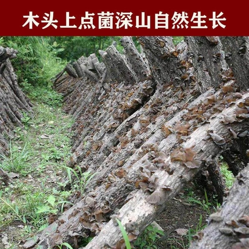 湖北南漳特产黑木耳干货肉厚无根无杂质软糯春耳秋耳