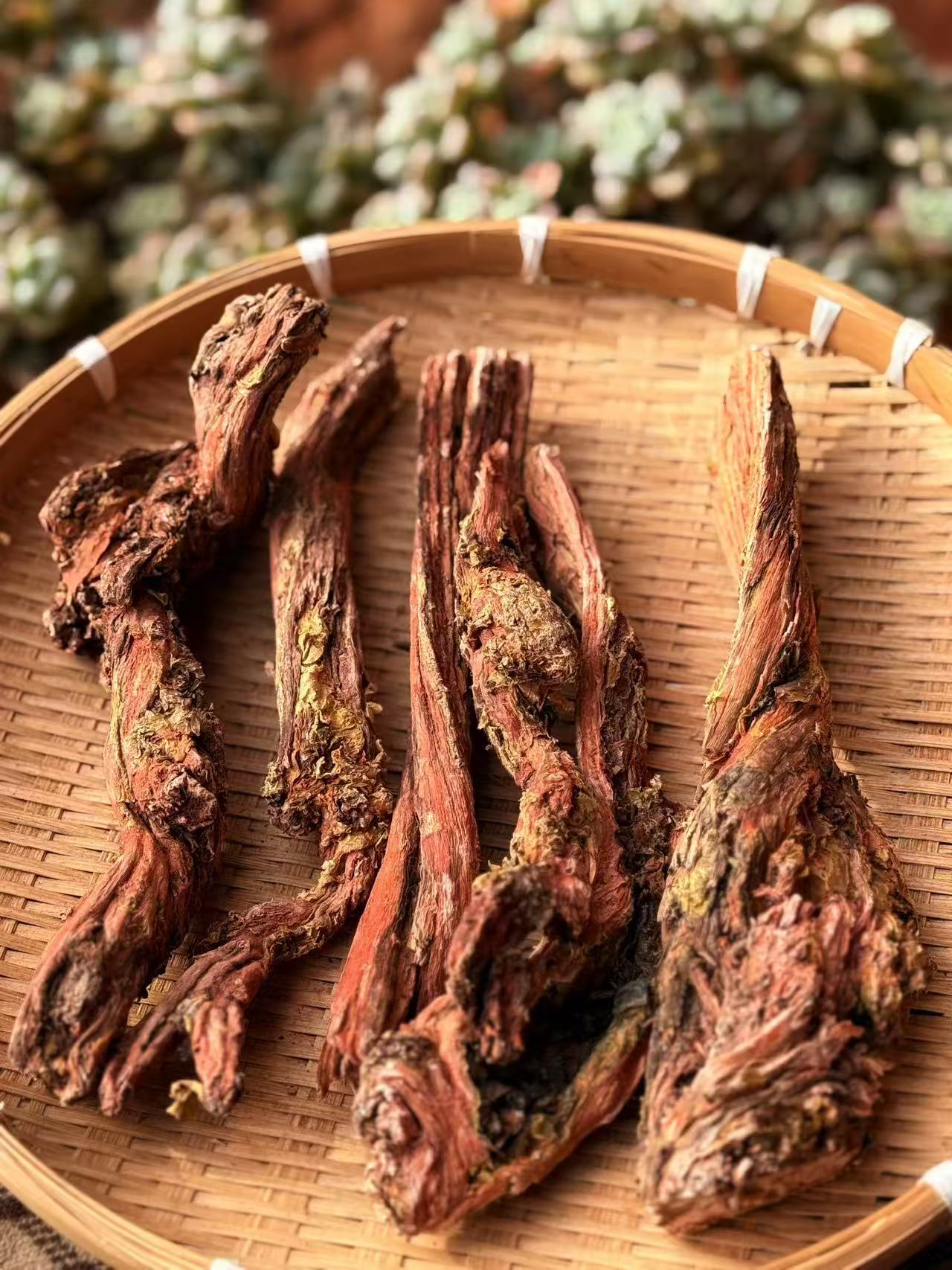 【陈博士高山现收】 西藏 正宗 梅里雪山 野生红景天