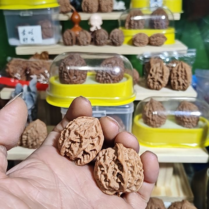 谱***斯35尺寸，苹果园狮子头