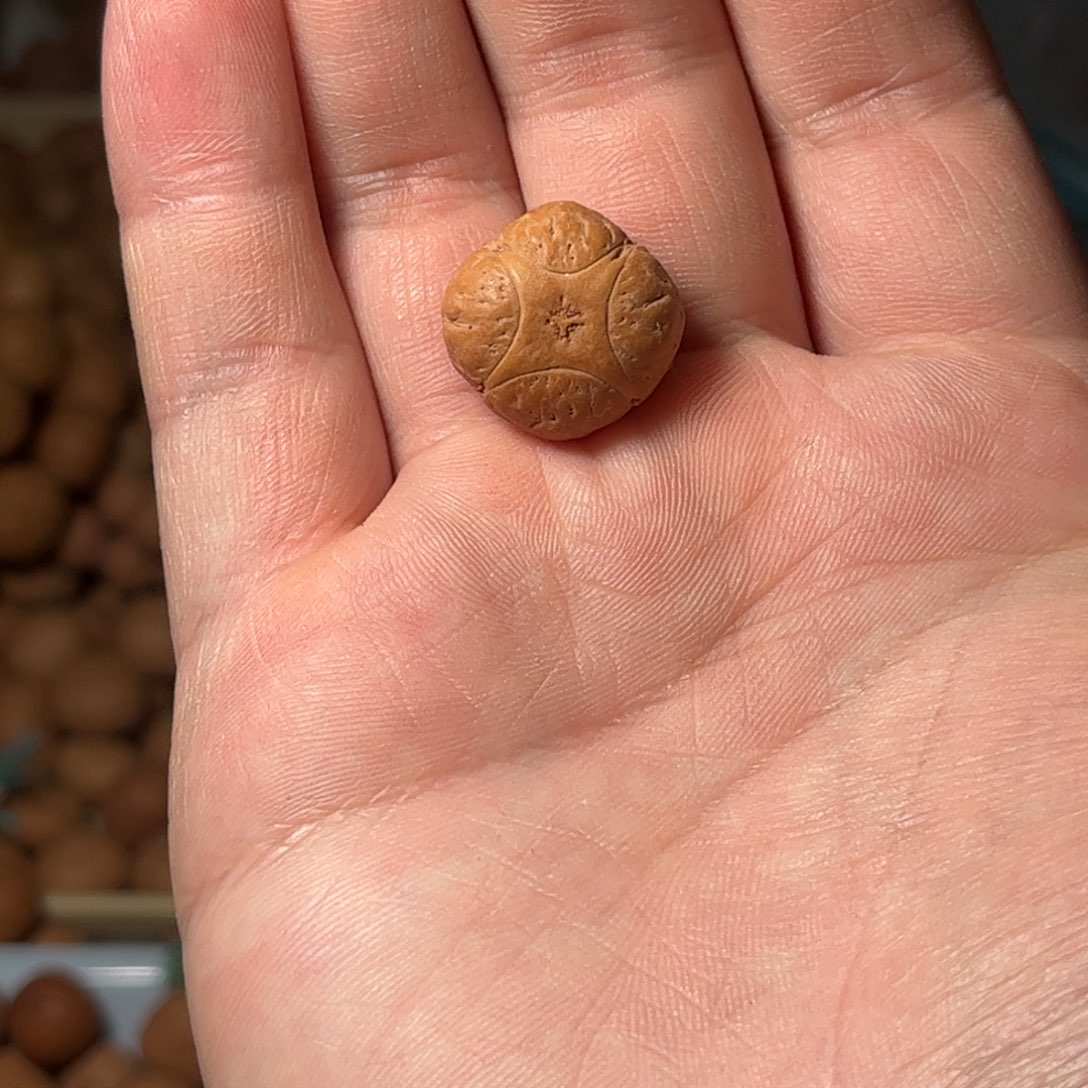 桃核吊坠19mm麒麟眼单颗，开孔不退，偏远不包