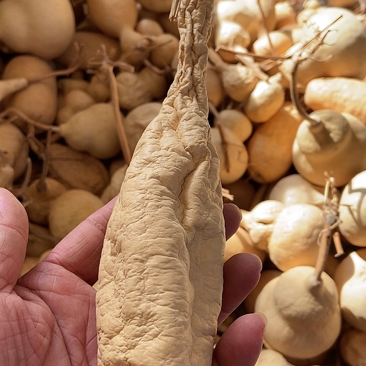 r h j f j d b s b sh d j