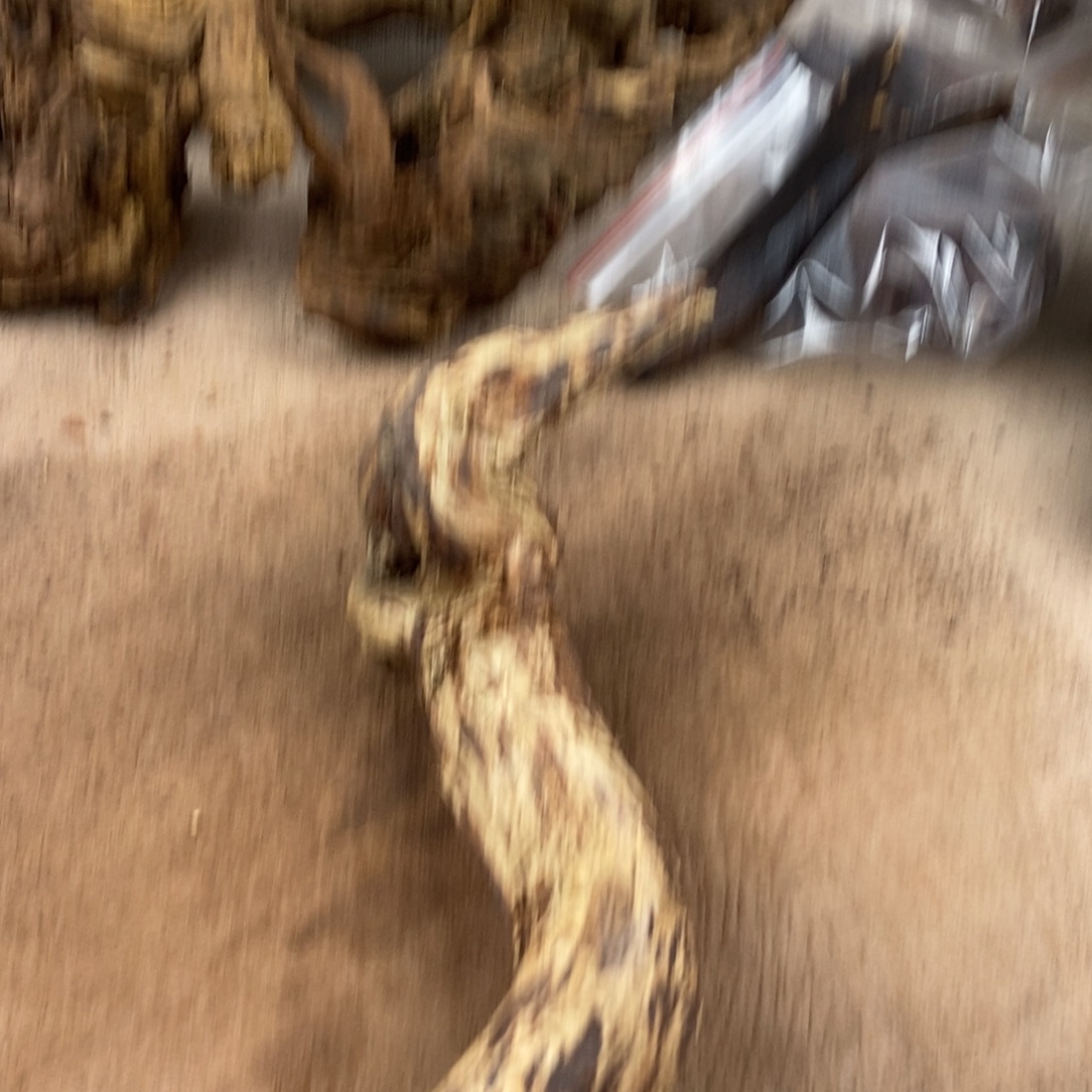 张***黄花梨/降香黄檀降香黄檀黄花梨