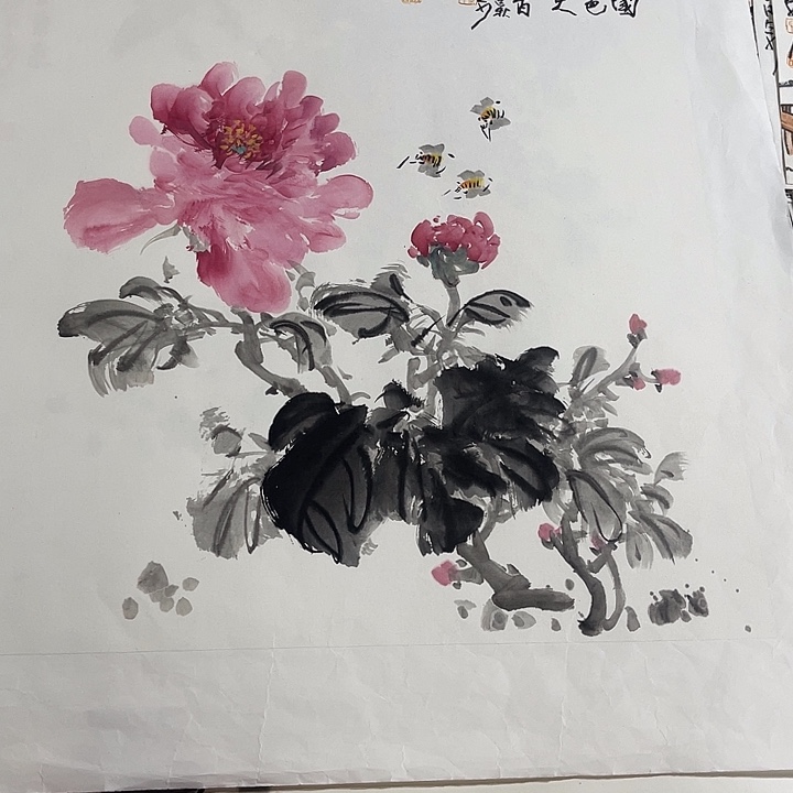 姜奇老师花鸟作品50×50