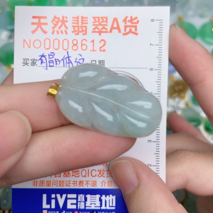 翡翠18K金镶嵌颈饰叶子
