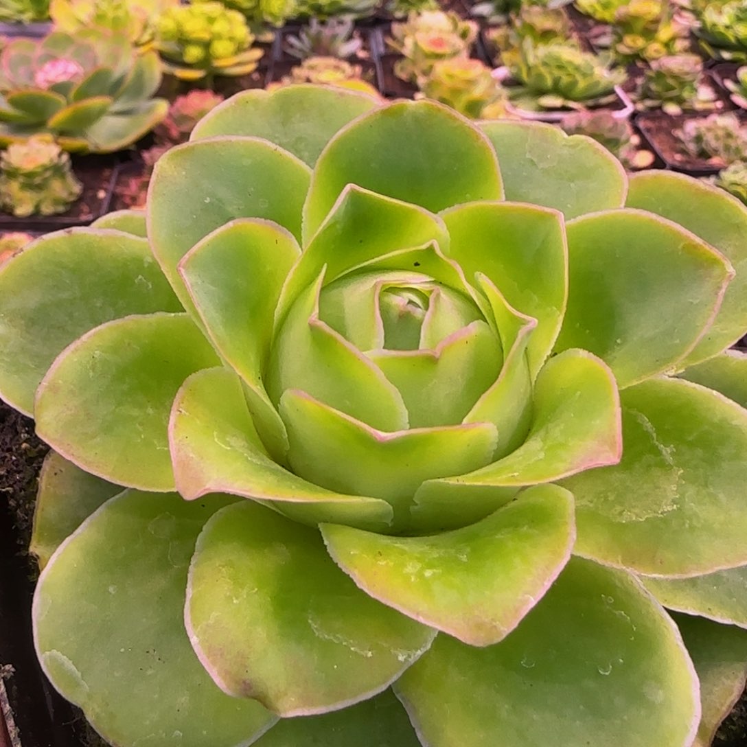 开播福利11342457676868656536