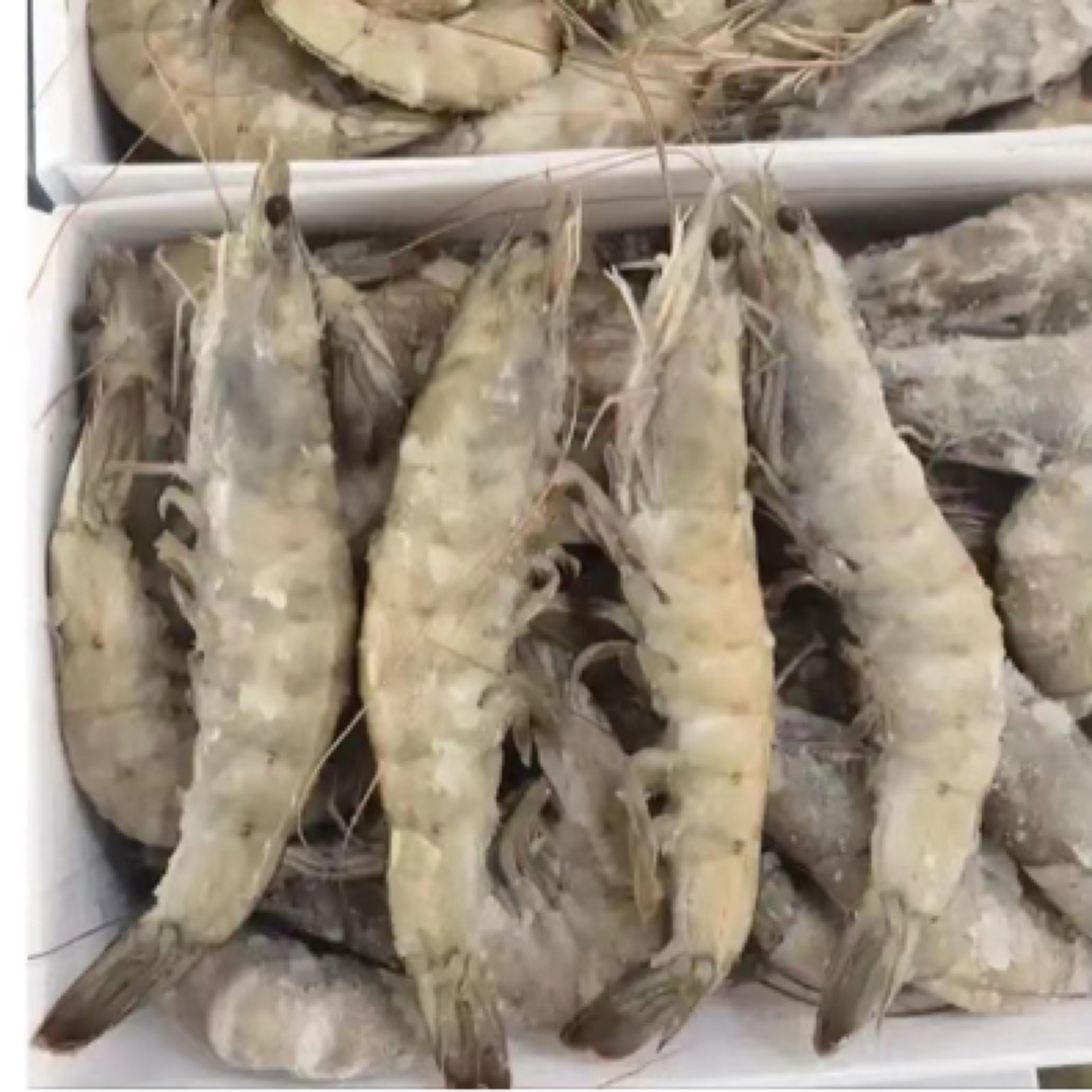 【宠粉专属】30-40盐冻大虾净重3斤，一盒45-50只左右冷冻新鲜