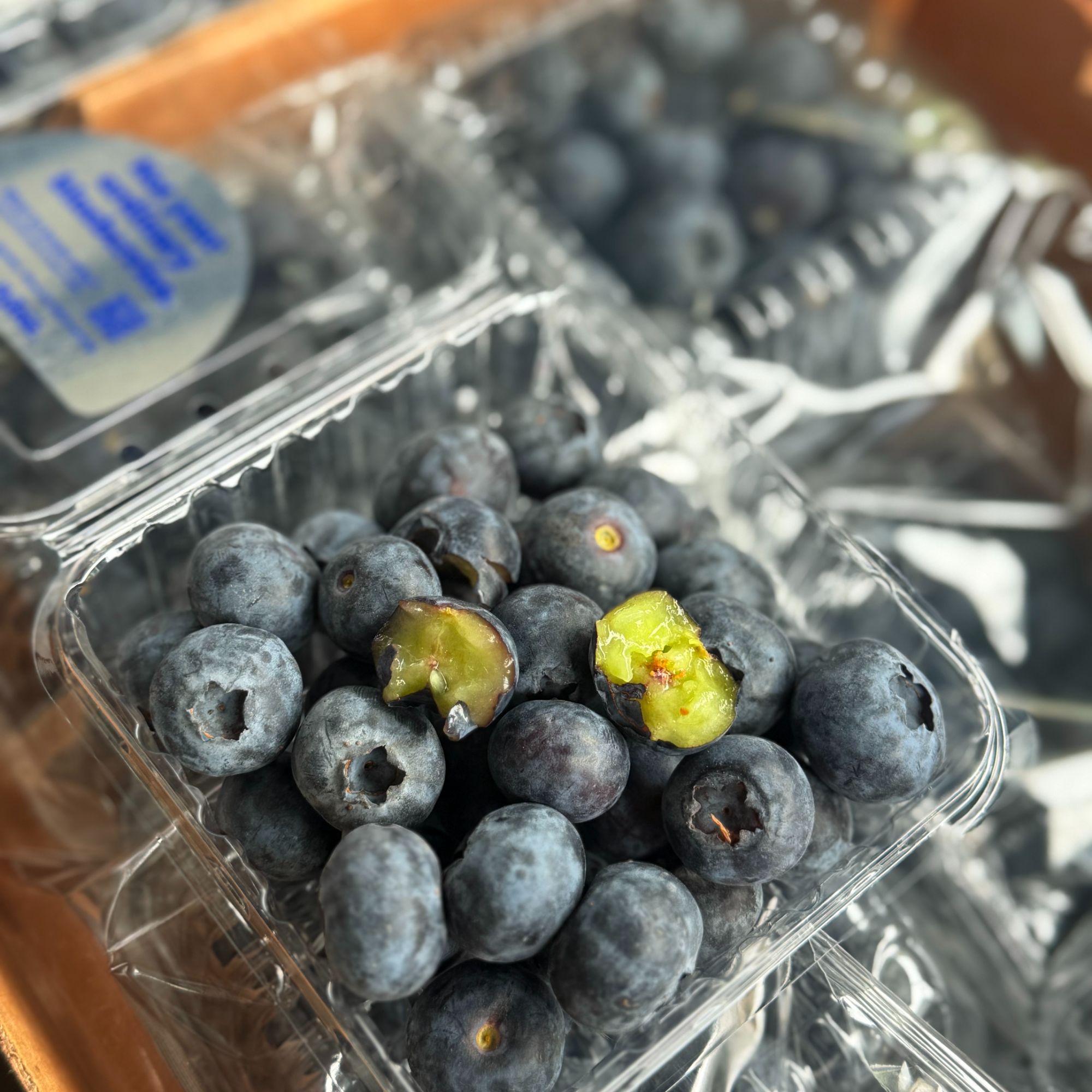 【进口蓝莓】用眼过多 就吃蓝莓 18➕ #12盒装 单盒125g 发河南