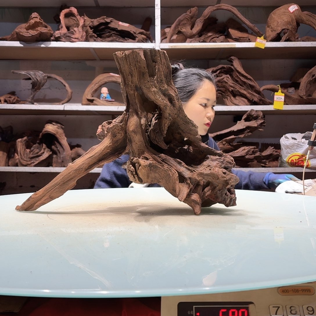 倍诸沉木不包损必褪色落**龟6277