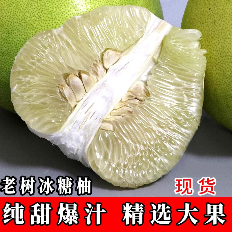 四川泸州水晶柚雪峰冰糖柚怀化安江老树小苦柚药柚安福金兰柚包邮