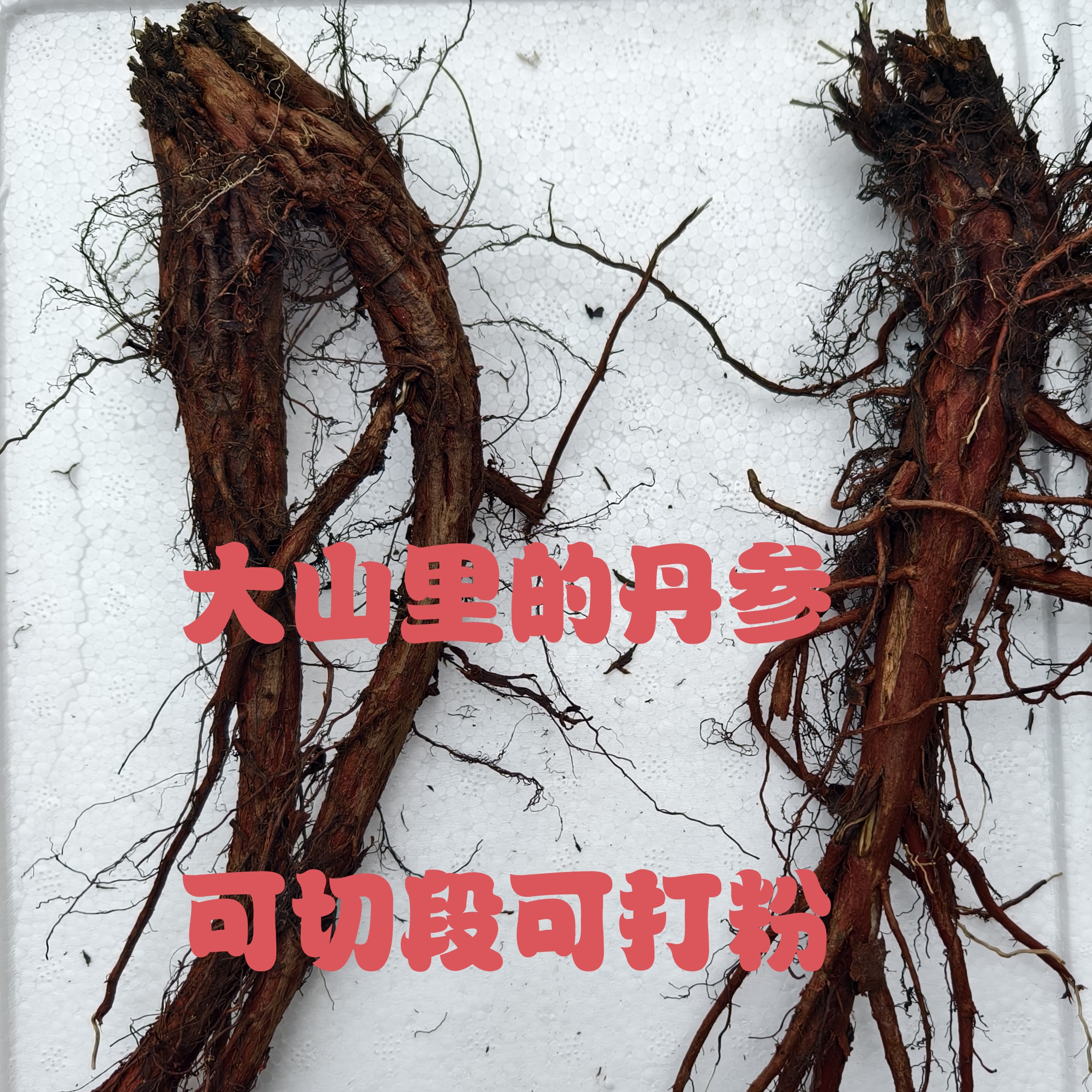 甘肃大山非种植丹参紫丹参2025新货干货可切段打粉