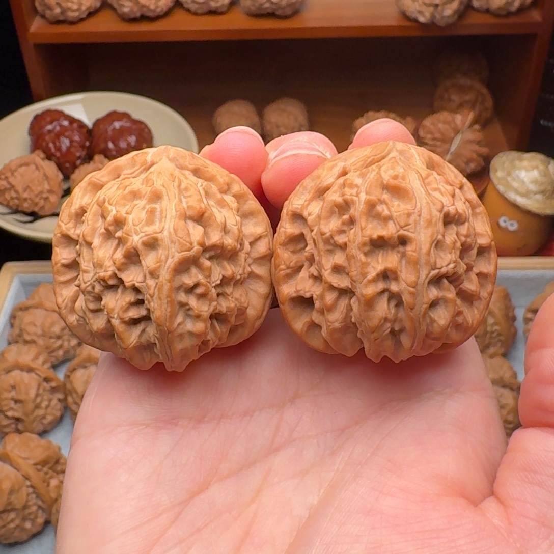 文玩核桃福利白狮子38全