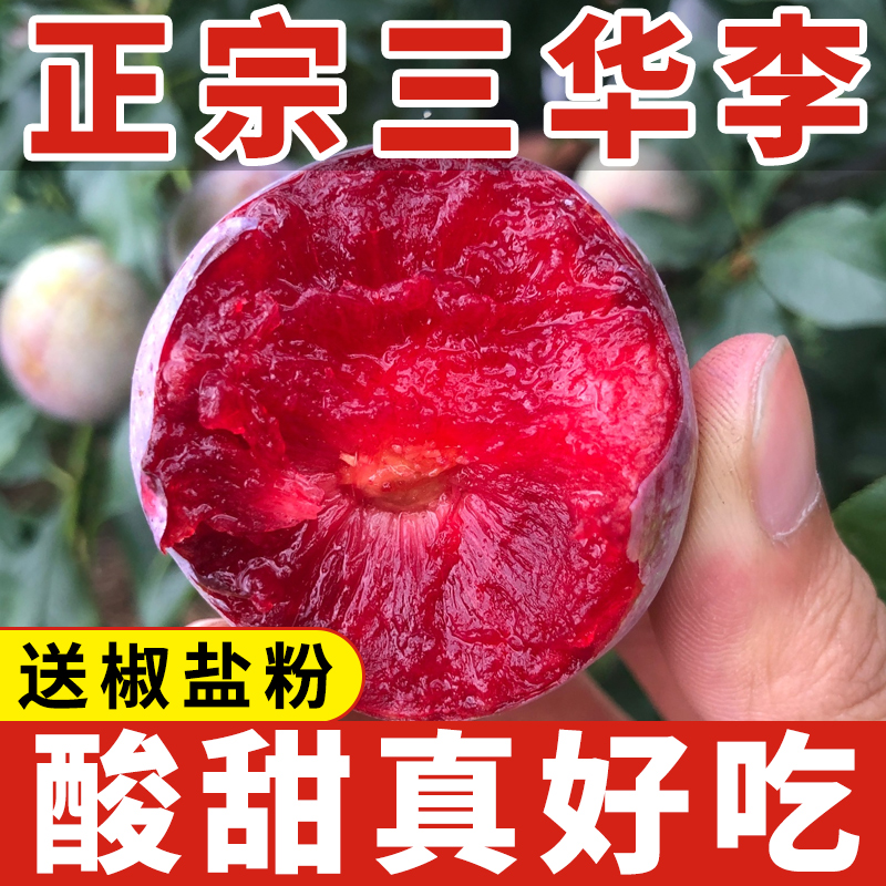 【特价】正宗三华李酸甜脆现货新鲜采摘当季红心李批发包邮