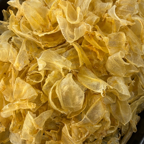 500头爆干印尼小白花公胶，99%纯公（1-500g，直播间可现称现拍）