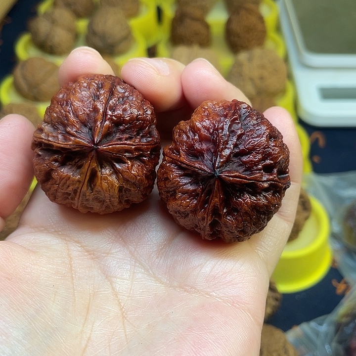 文玩核桃把件11、红烧丸子39