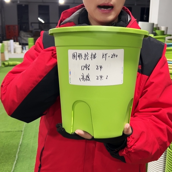 正品圆控口24高24果绿色8只无托