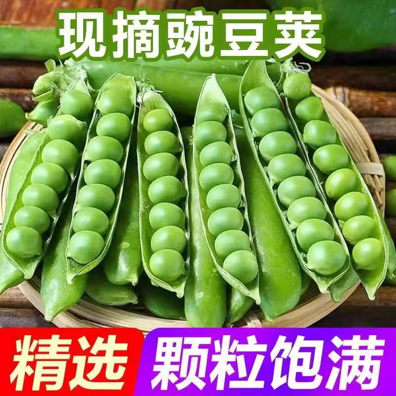 云南农家豌豆荚新鲜现摘带壳豌豆米脆甜青豆角粒当季农家蔬菜